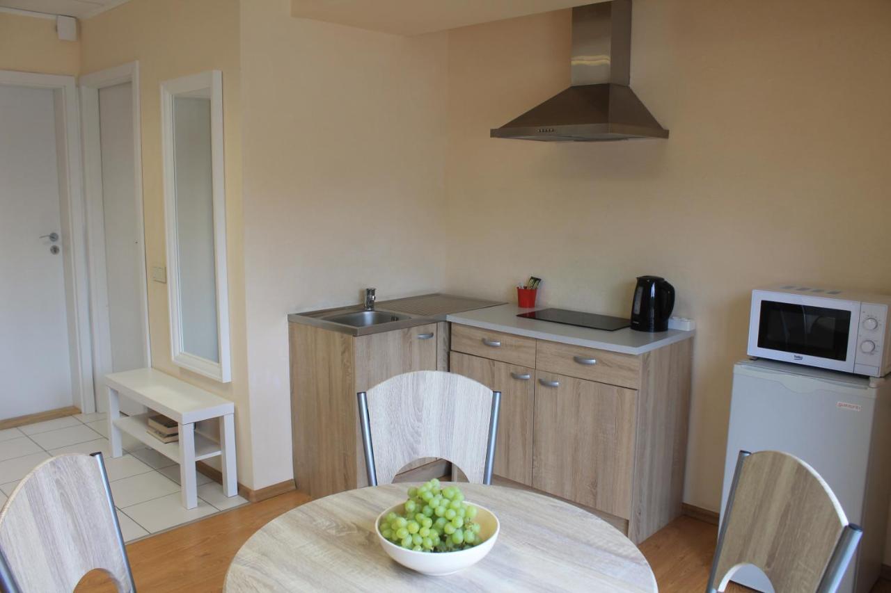 Parko Studija Apartman Birštonas Kültér fotó