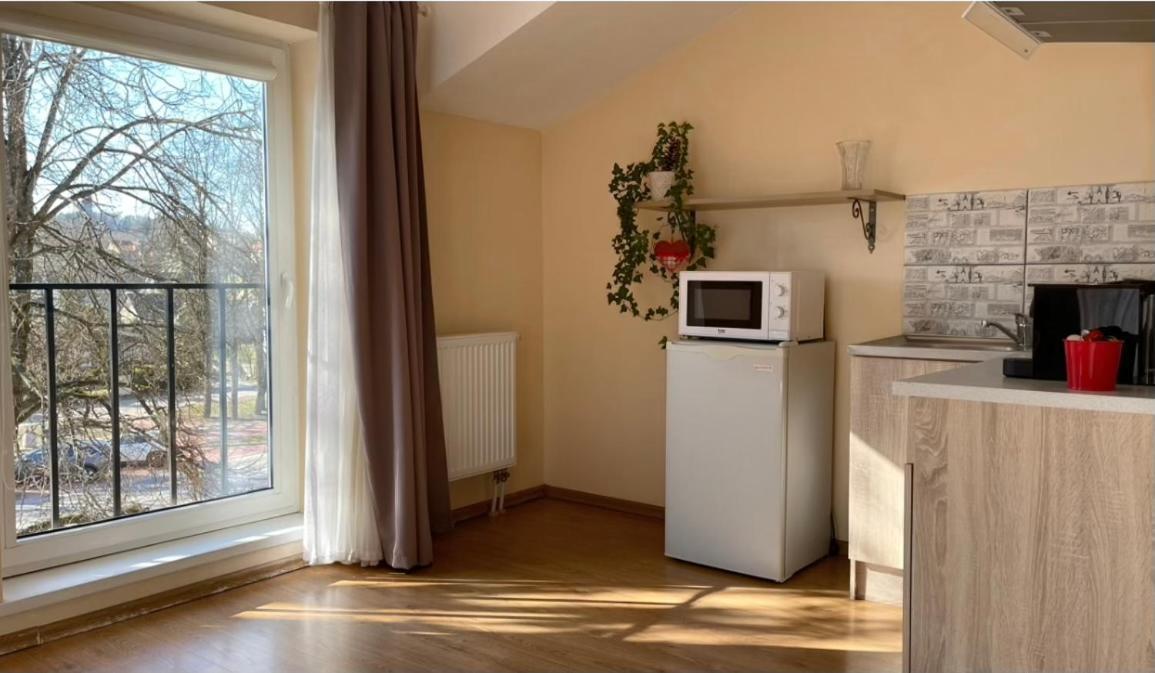 Parko Studija Apartman Birštonas Kültér fotó